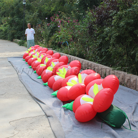 sunbet申博·官方(中国)