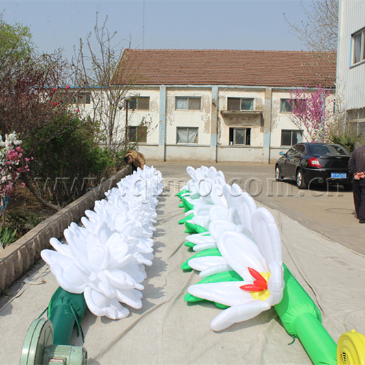 sunbet申博·官方(中国)